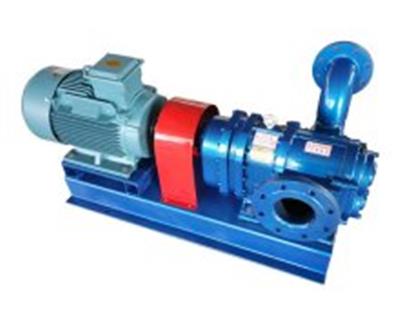 LZB螺旋轉(zhuǎn)子泵
